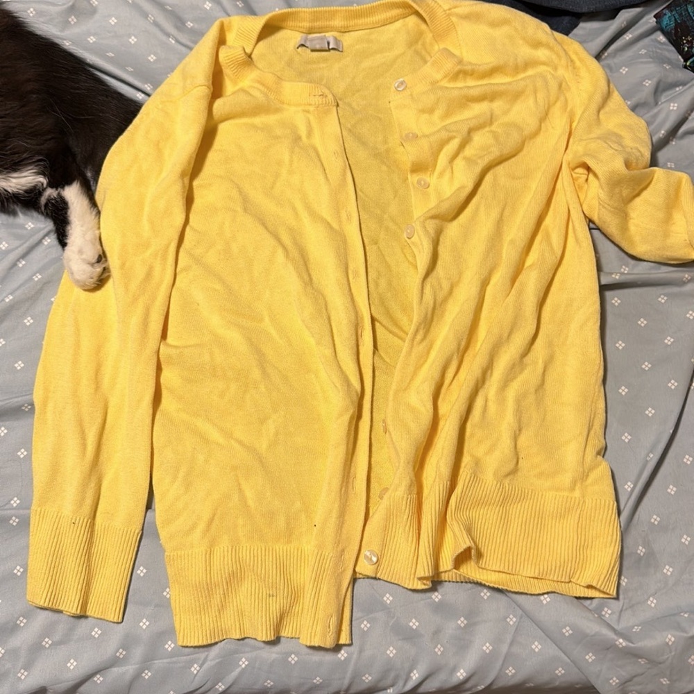 Cardigan